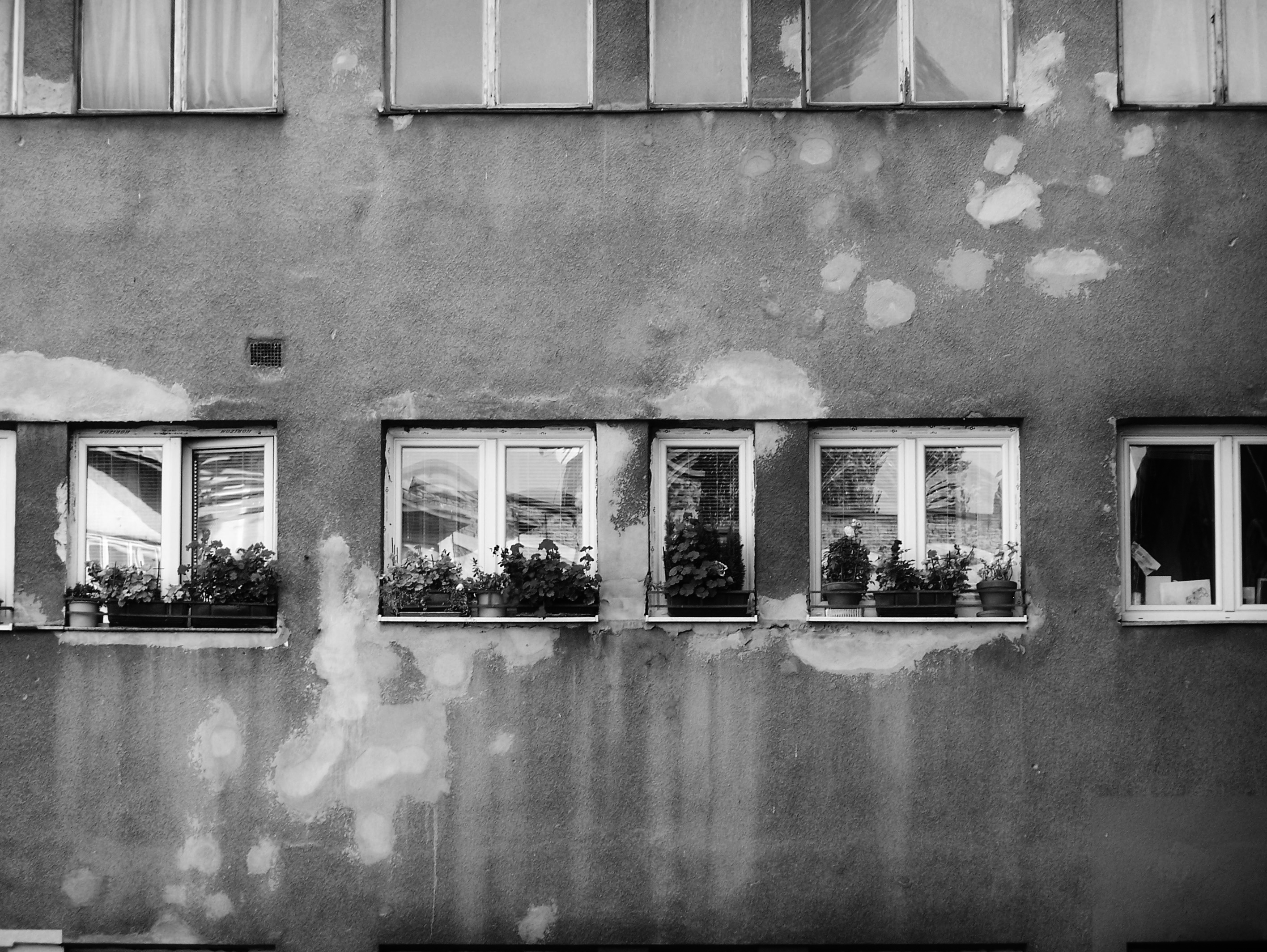 Scars of Sarajevo