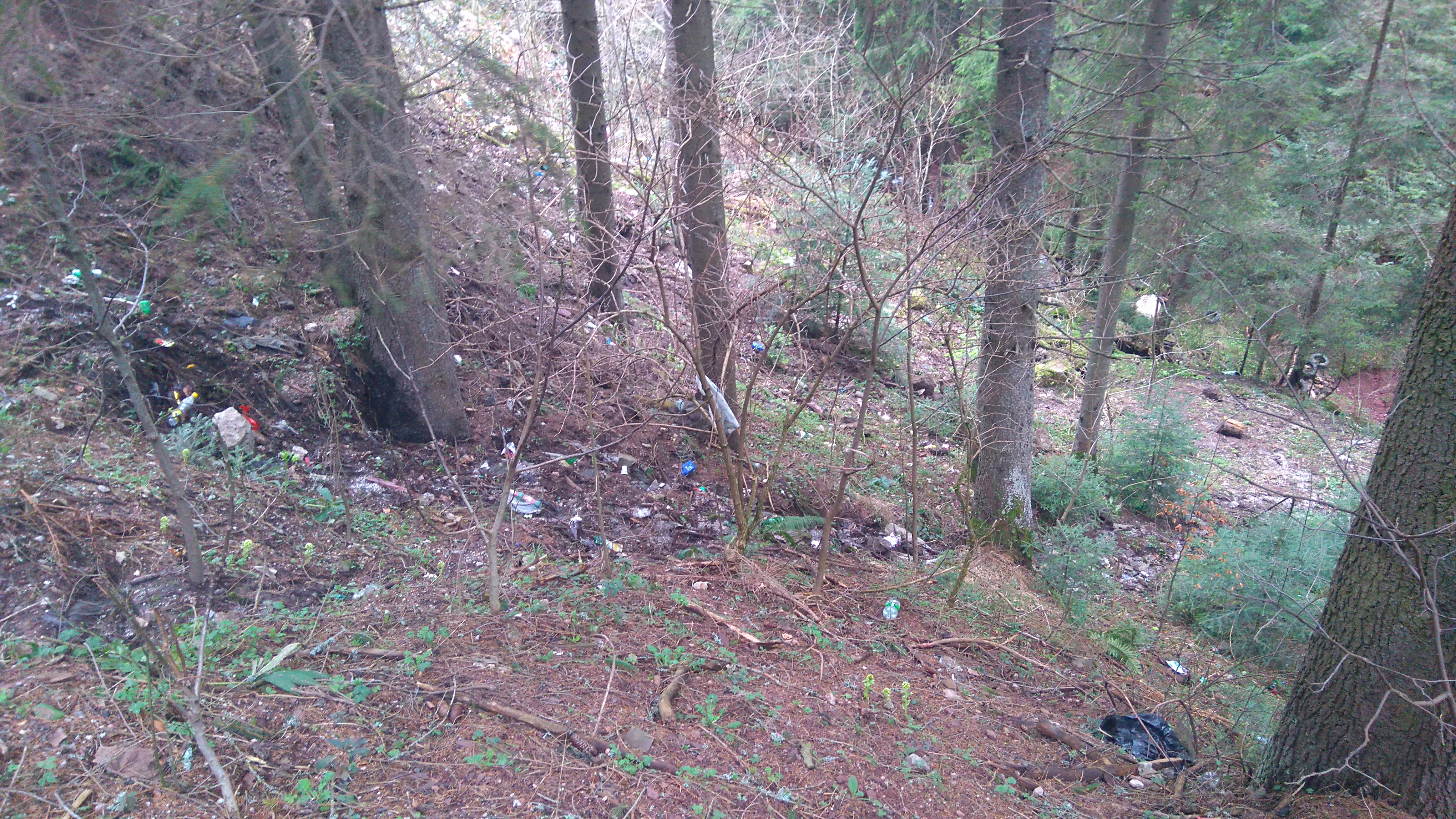One of the illegal dumps on the way to the Pogar community in Vareš (photo by: Zlatan Likić)