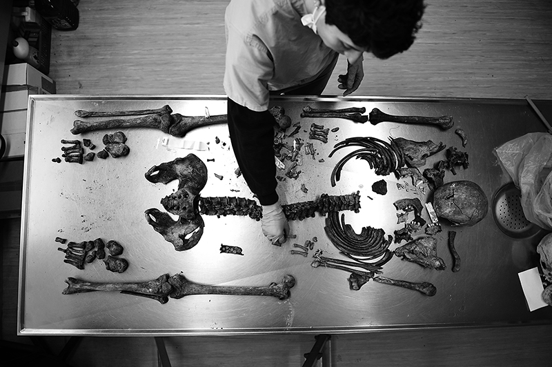 International Commission of Missing Persons (ICMP) facility in Tuzla, also known as the Podrinje Identification Project. Forensic anthropologist Dragana Vučetić reconstructs the skeletal remains of a missing person. According to the ICMP, cases exist where the remains of one person have been gathered from 17 different locations. (Photo: Midhat Poturović)