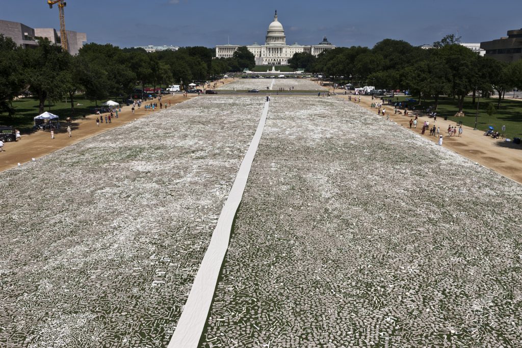 One Million Bones at the National Mall in Washington, D.C. (photo: Art of Revolution)